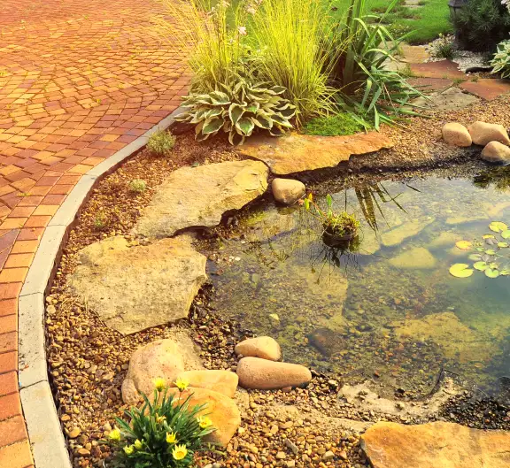 Ponds, Wentzville, MO